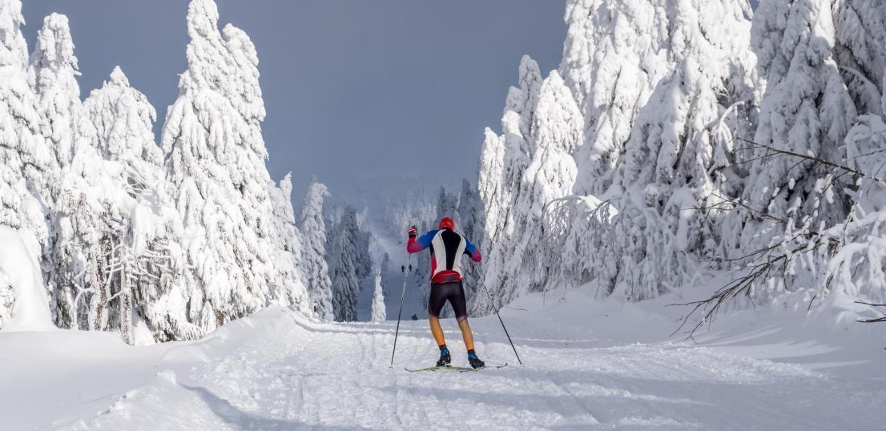 K2 Aparthotel Klinovec Views - Mezonet Apt Loucna pod Klinovcem Luaran gambar